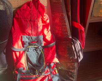 Backpack and gun cases