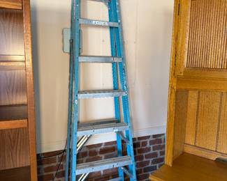 Werner Step Ladder