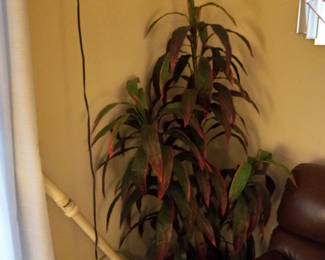 Items Located In The Livingroom