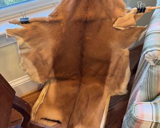 Animal skin