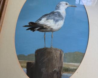 Seagull