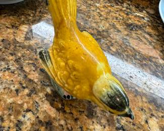 Stengle bird