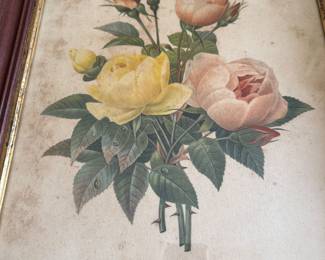 Botanical