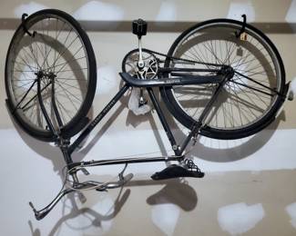 Raleigh Sport Bike