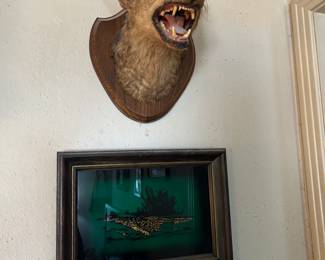Coyote mount
