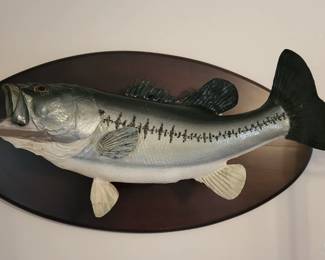 Taxidermy bass