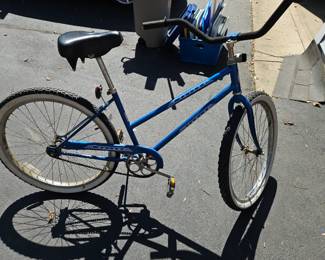 Vintage Schwinn Bike