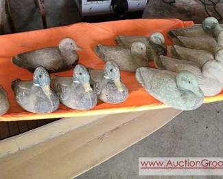 12 Duck Decoys
