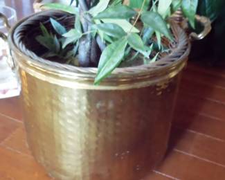 brass planter