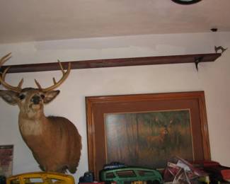 Another deer mount