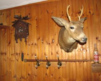 Deer mount, walking stick with glass knob, cuckoo clock that needs work
