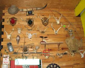 Many antlers