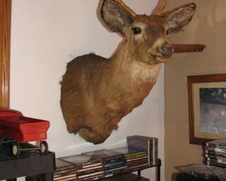 Deer mount