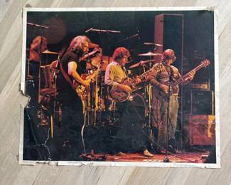 Grateful Dead Live in Concert - photograph