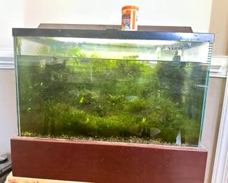Fish tank with fish 