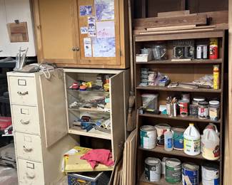 There are more than a few chemicals and other tools and accessories in the garage, too.