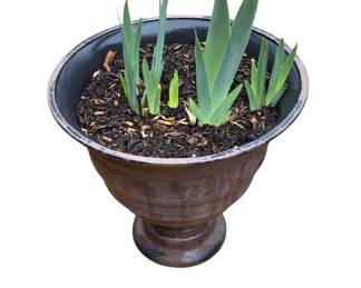 Nice Urn Planter with Beaded Iris