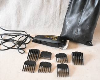 Wahl razor