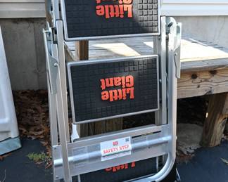 little giant ladder