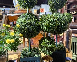 Plants and decor...