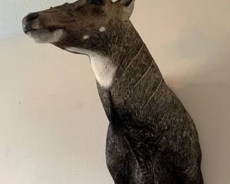 Nilgai Shoulder mount aslo known as a "Blue Bull" largest  Asian antelope found in India and Pakistan