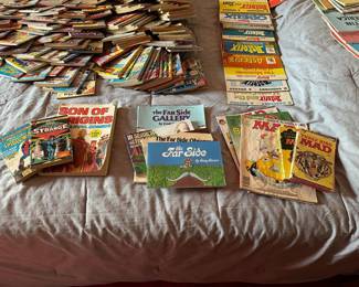 Doctor Strange, The Far Side, Mad Books