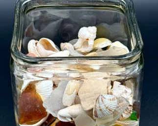 Seashells & Seaglass Lot
