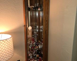 Hanging display cabinet