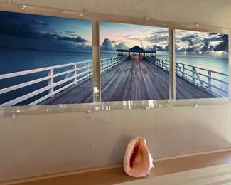 $200.00. Large Photo Triptych 68” x 24”. Photo printed on canvas and mounted on a beveled acrylic thick sheet.   