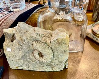 FOSSILS LOOK GREAT MIXED WITH WESTERN, BLENKO PITCHER.