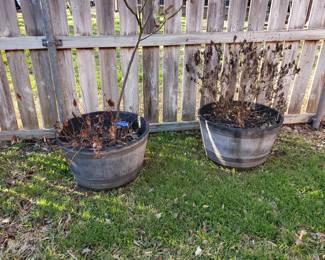 Planters
