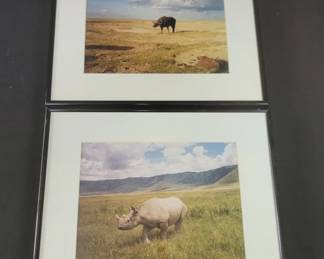 Lot # : 157 - Pair of wild life photos under glass