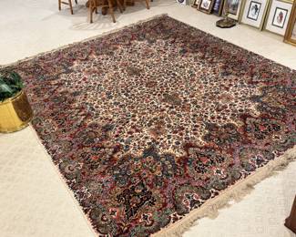 Beautiful area rug