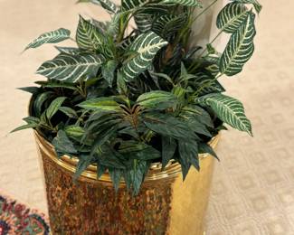 Brass plant container