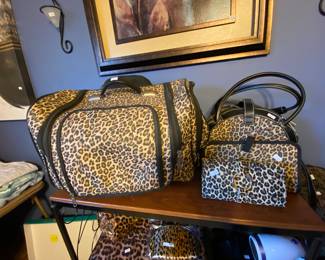 Fun jewelry and cosmetic travel bags