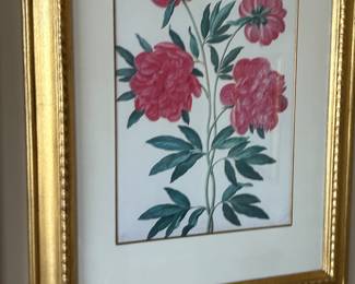 Lots of Botanical Prints framed & matted beautifully