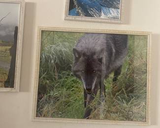 Signed by photographer 