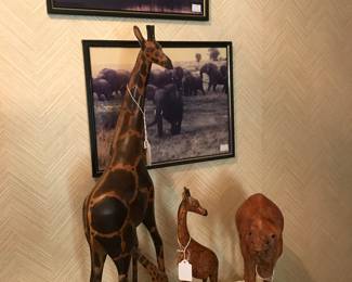 Various Giraffes, camel, Zoo photos.