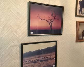 Was told taken in Africa