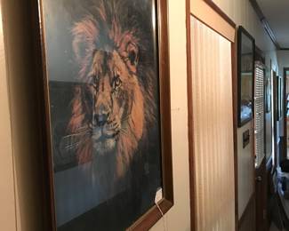 Gorgeous framed lion