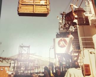 First giraffe for the zoo.