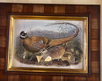 Stupell Industries Pheasant Family in Nature