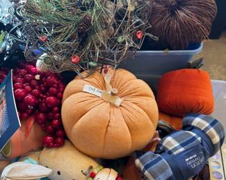 Fall and Christmas Decor