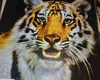 att.2qCIw WN9sI h2vBLXTcUQebNuCTlZvSxUu5L8hPCI