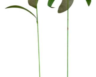 FallThemed Yard Decor