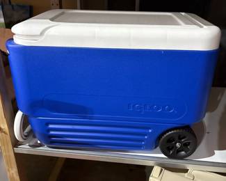 Igloo Cooler 