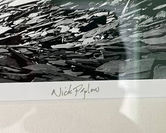 Nick poplon 