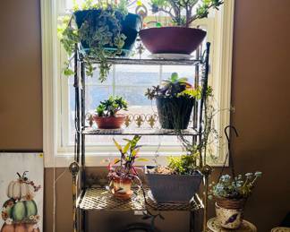 Living potted plants 
Succulent plants 
Antiqued cast iron bakers rack/plant stand 