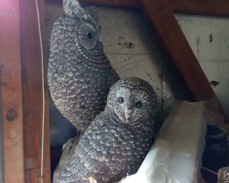 Garden owls