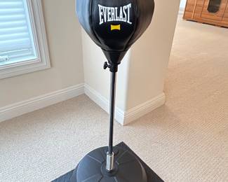 Everlast punching bag ~